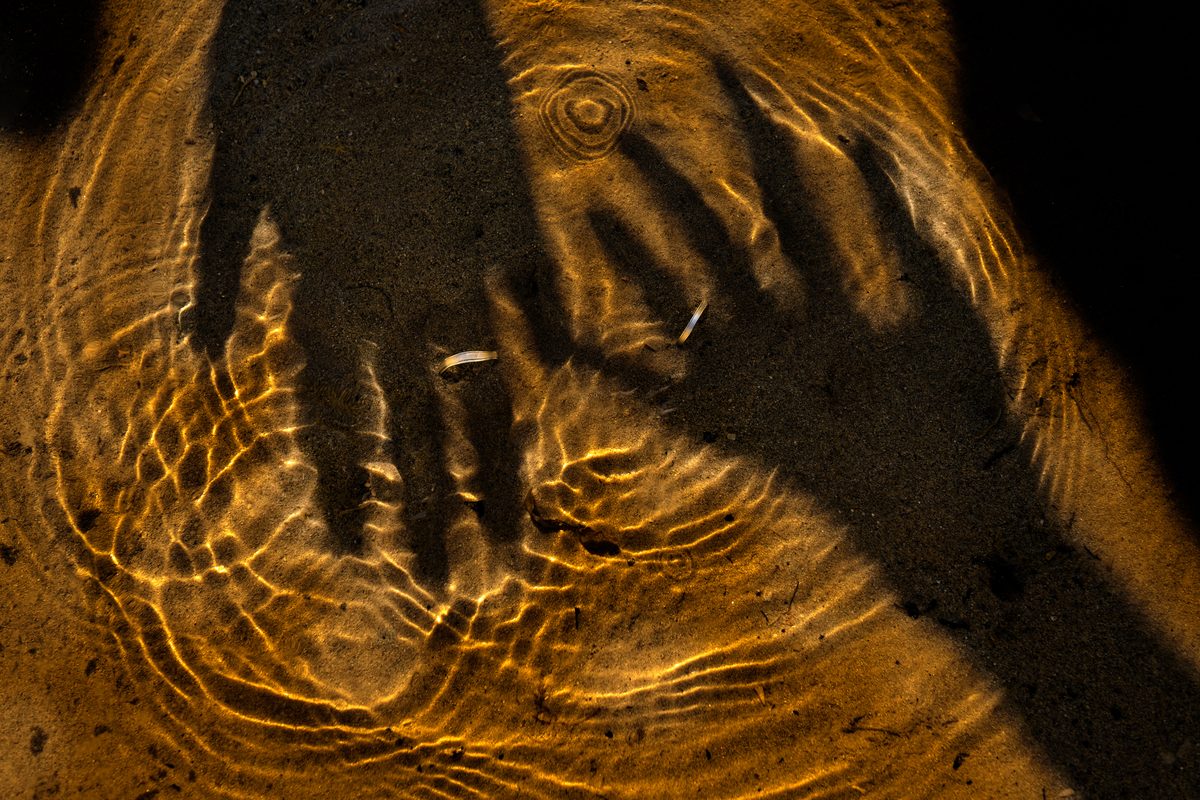 Photographe mariage Manche — alliances anneaux eau dorée — Arnaud Chapelle