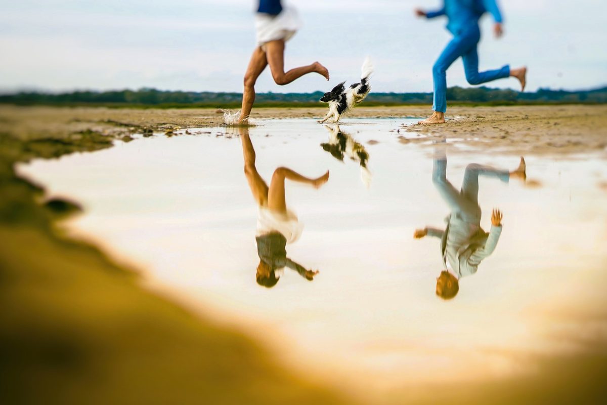 Photographe mariage Manche — couple chien traîne robe plein air — Arnaud Chapelle
