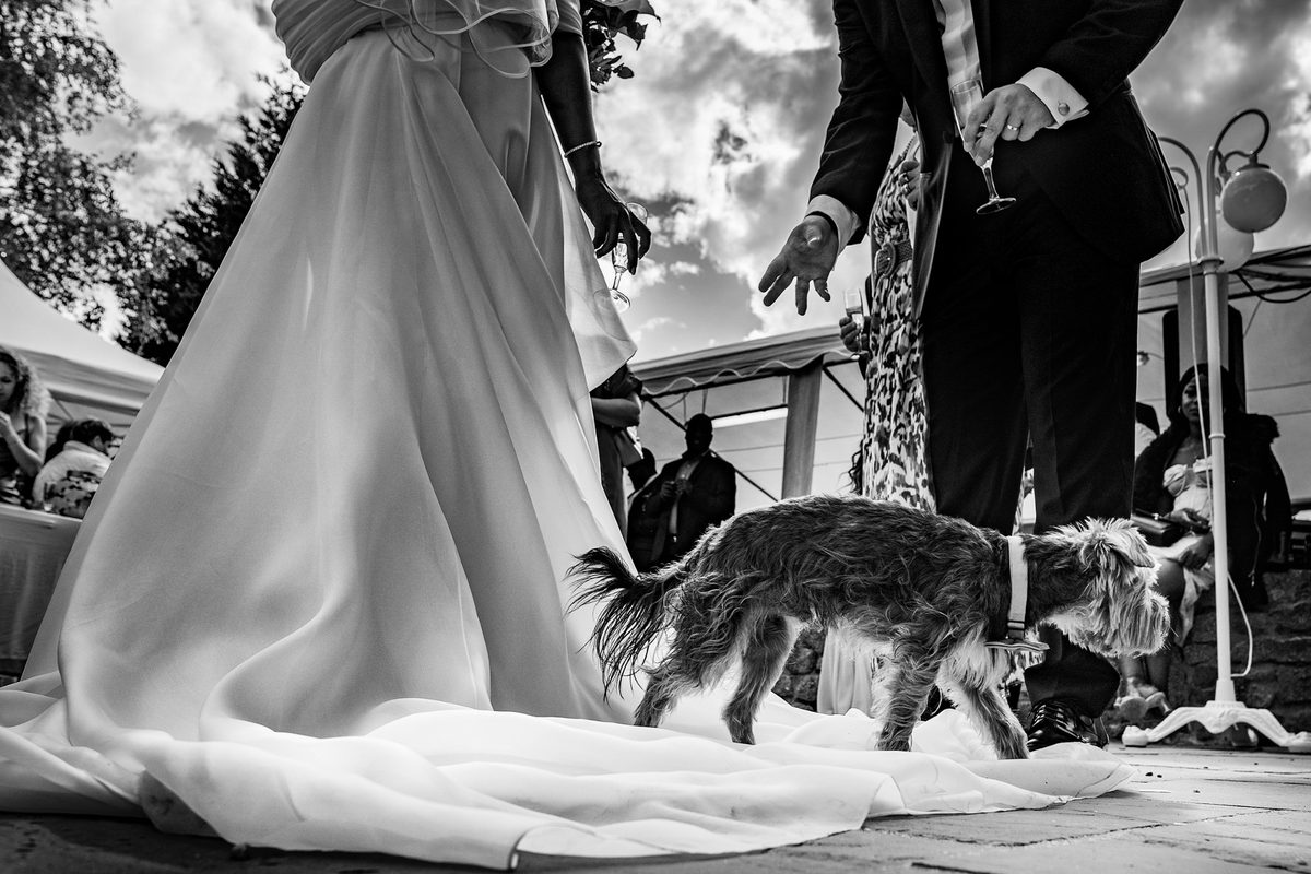 Photographe portrait famille plage Normandie coucher de soleil — Arnaud Chapelle