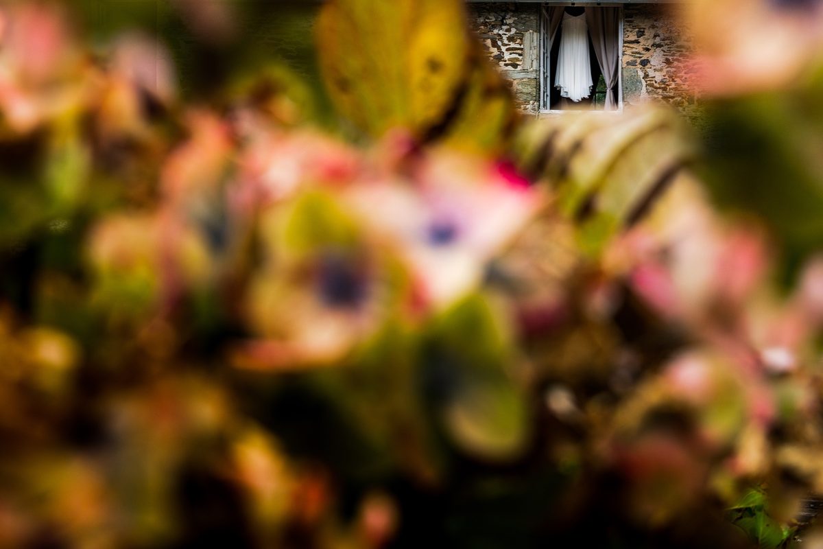 Photographe mariage Normandie — robe mariée fenêtre fleurs bokeh — Arnaud Chapelle